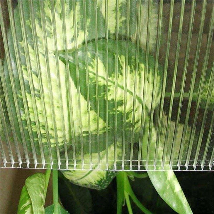 Polycarbonate Sheets For Pergola